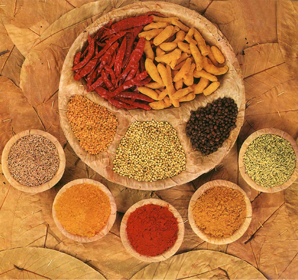 spices of india