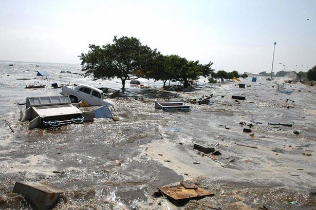 2004 Tsunami Chennai