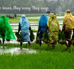 kerala tourism when it rains gesture controlled website