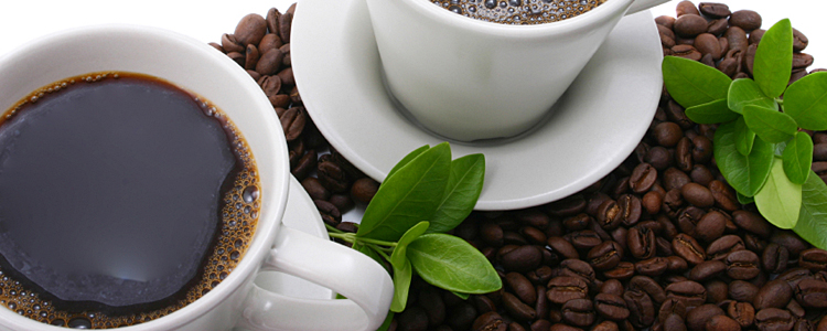 Does Decaf Coffee Help Fatty Liver