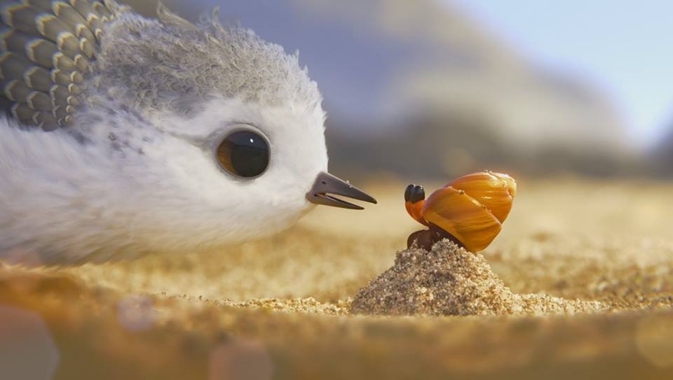 pixar-piper-short-film-animated