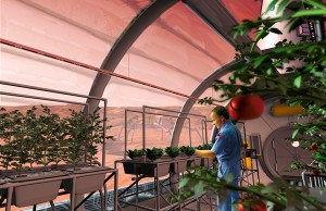 nasa-mars-greenhouse