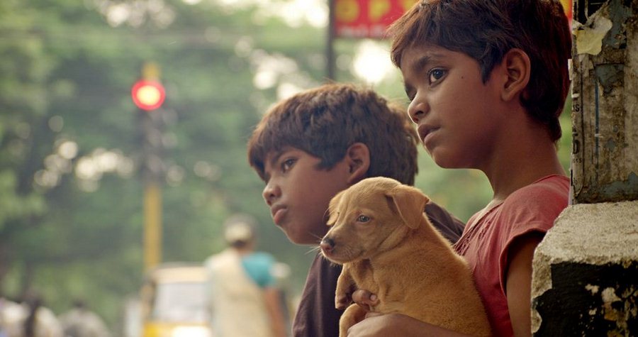 Kaakka Muttai | Tamil Movie Review - Indian Nerve